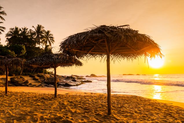 Yoga ,Meditation & Wellness Tours